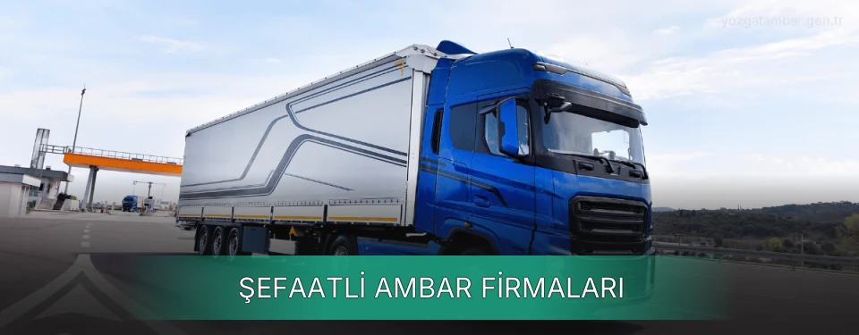 Şefaatli Ambar Taşımacılık Şefaatli Ambar Taşımacılık